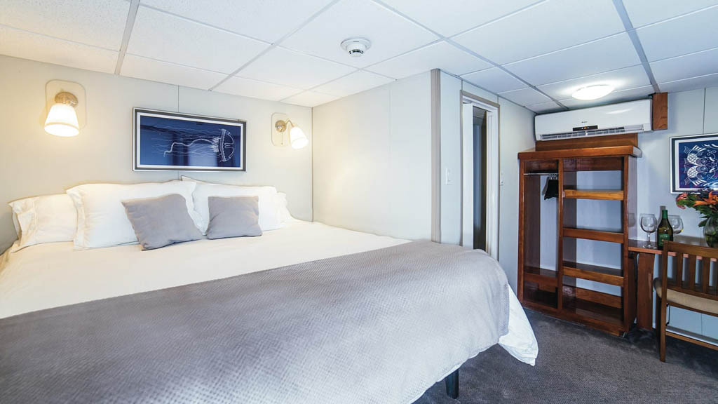 12 nautilus explorer liveaboard socorro baja mexico rosario suite