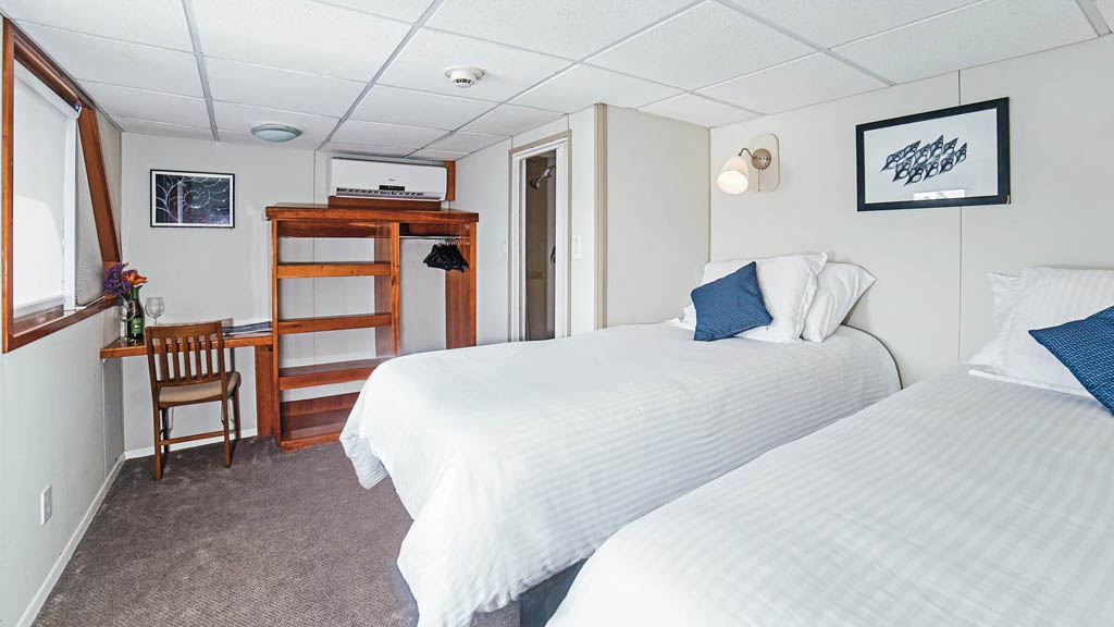 15 nautilus explorer liveaboard socorro baja mexico nautilus suite