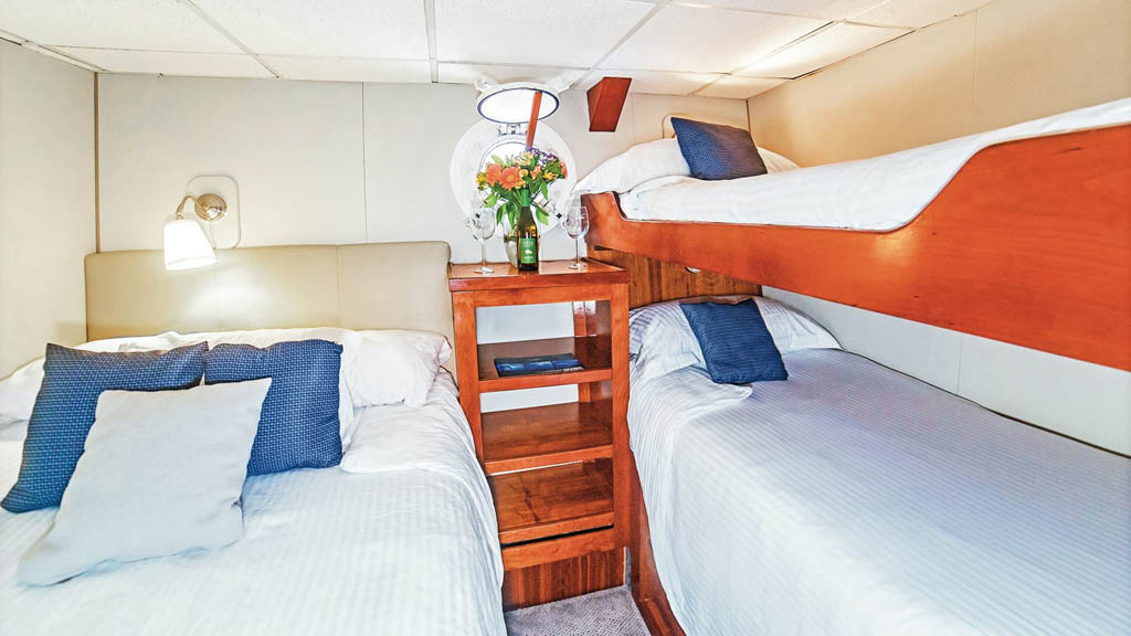 16 nautilus explorer liveaboard socorro baja mexico lower deck stateroom triple