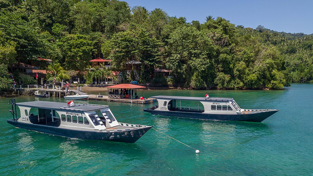 17 nad lembeh resort north sulawesi indonesia diveboats