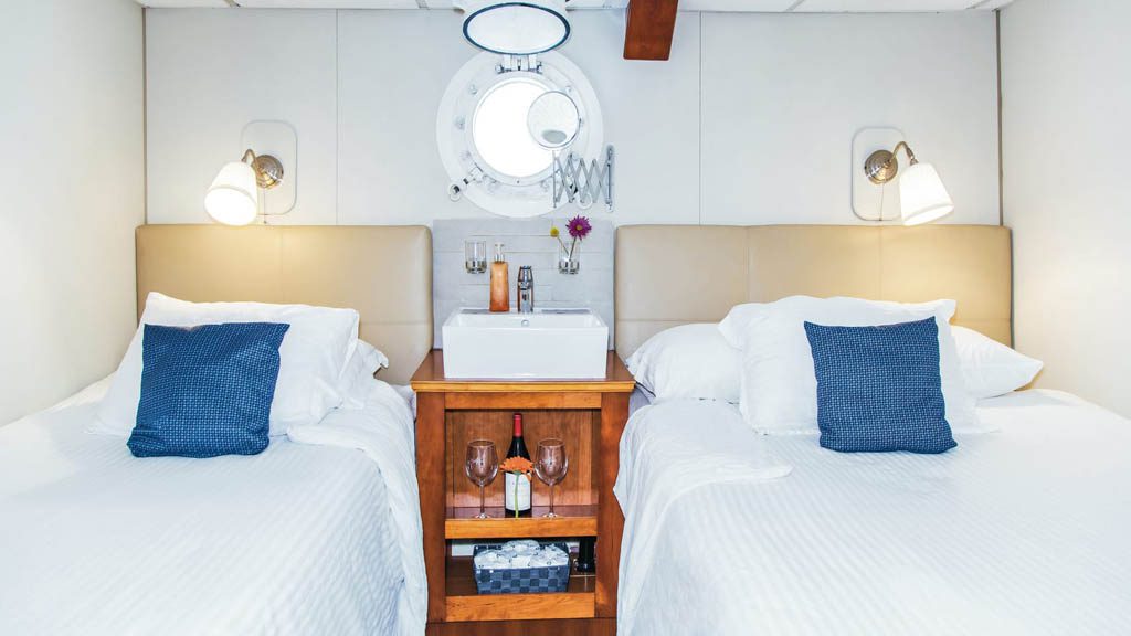 17 nautilus explorer liveaboard socorro baja mexico lower deck stateroom double