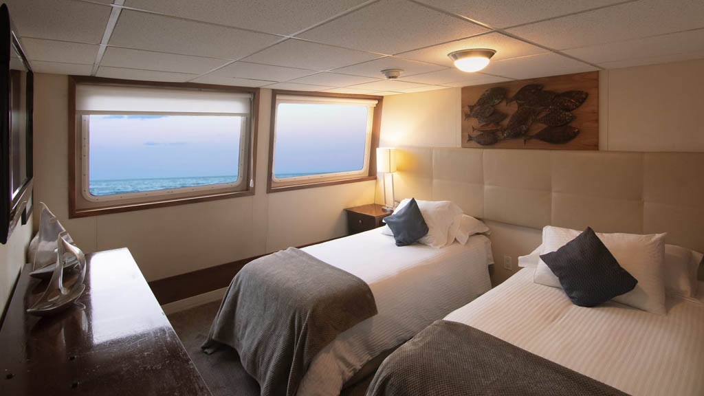 18 nautilus explorer liveaboard socorro baja mexico premium suite
