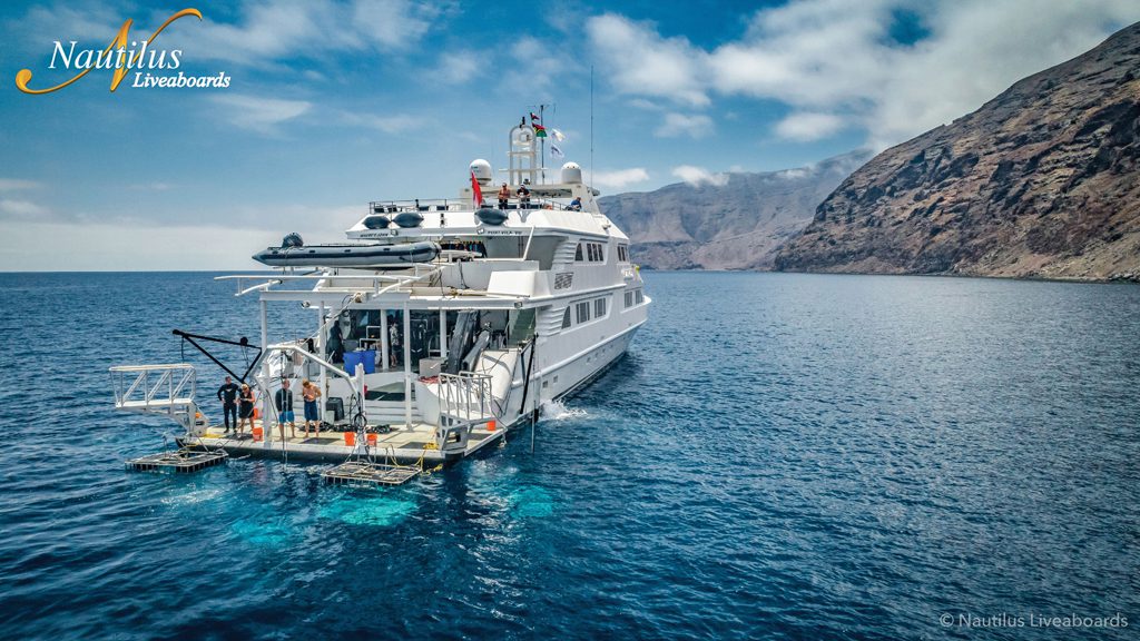 2 nautilus belle amie liveaboard mexico shark operations guadalupe hero