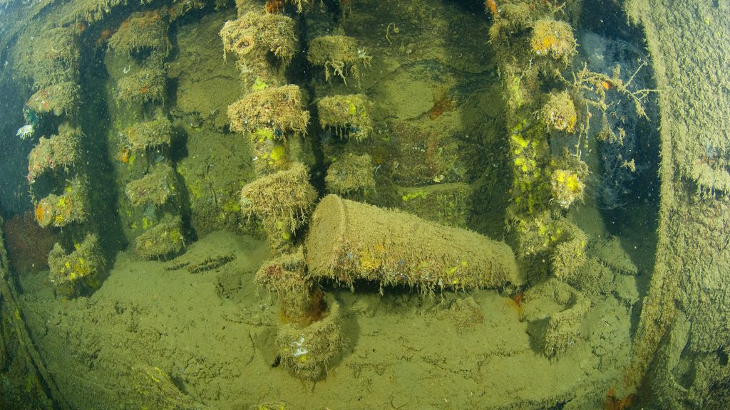 23 sangat island dive resort coron philippines akitsushima shell elevator