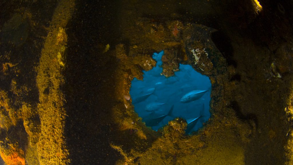 27 sangat island dive resort coron philippines irako porthole