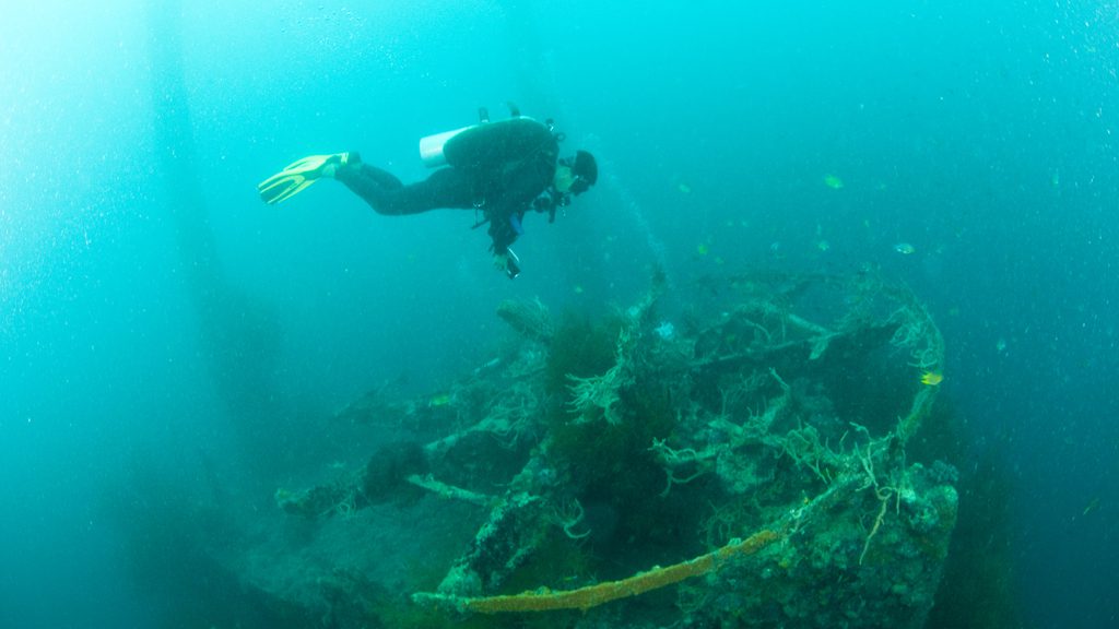32 sangat island dive resort coron philippines olympia gun mount and diver