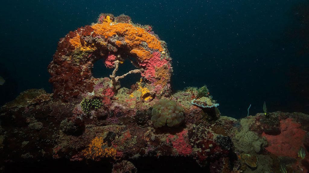 33 sangat island dive resort coron philippines olympia maru
