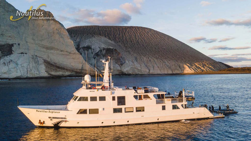 6 nautilus explorer liveaboard socorro baja mexico external 3