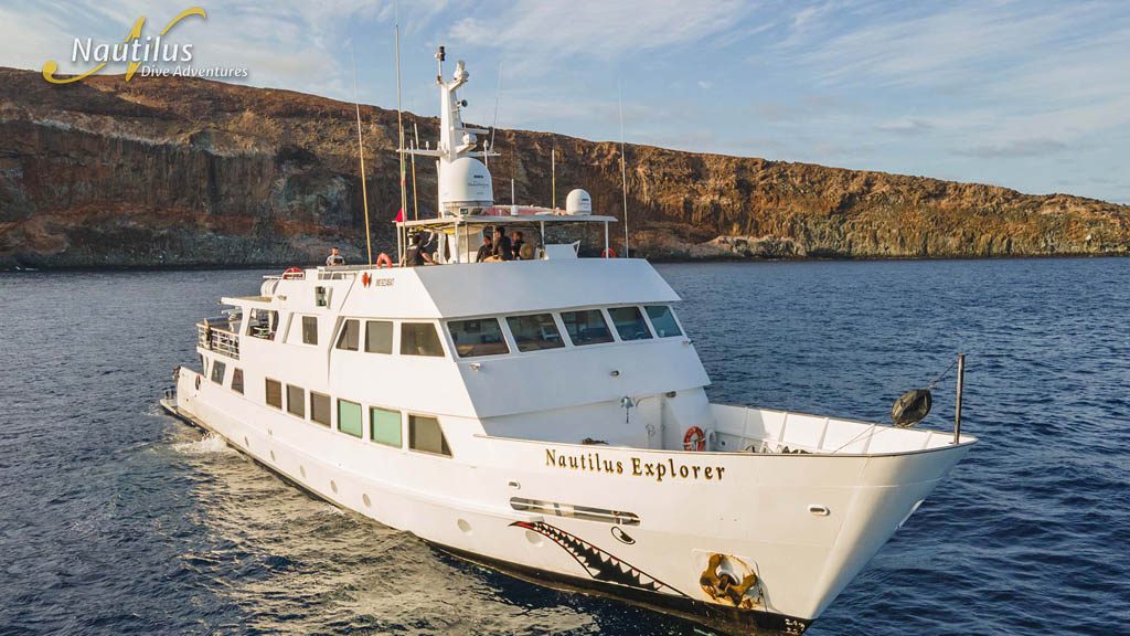 7 nautilus explorer liveaboard socorro baja mexico external 4