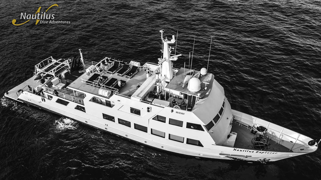 8 nautilus explorer liveaboard socorro baja mexico external 5
