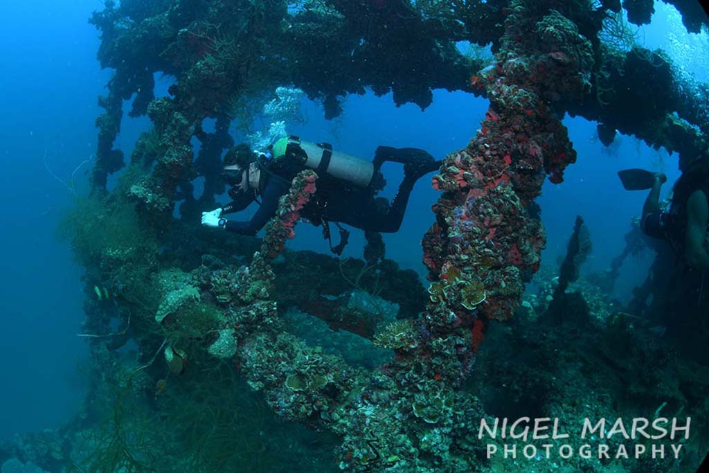 Palau exploring iro wreck