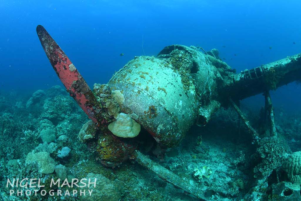 Palau jake sea plane