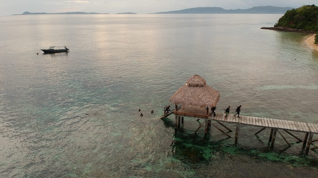 10 coral eye bangka north sulawesi indonesia jetty 3