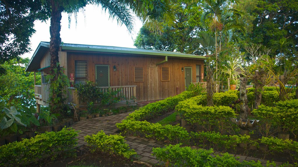 11 tufi dive resort northern province papua new guinea deluxe bungalow outside