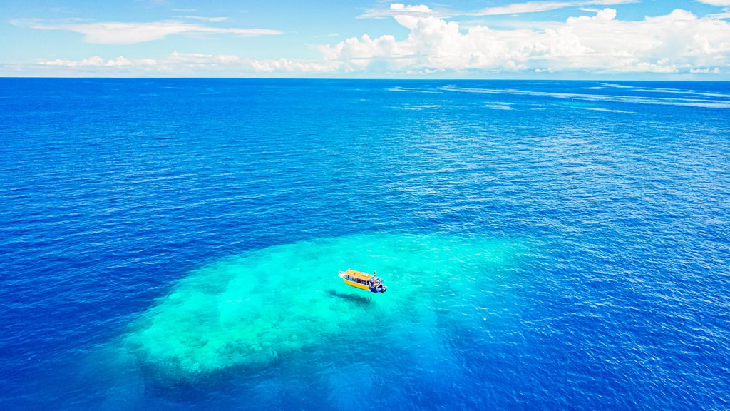 15 tufi dive resort northern province papua new guinea reefs