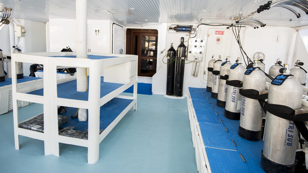 16 royal evolution liveaboard red sea egypt diving deck