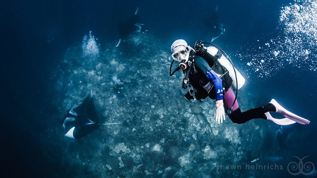 22 misool eco resort raja ampat indonesia diver mantas