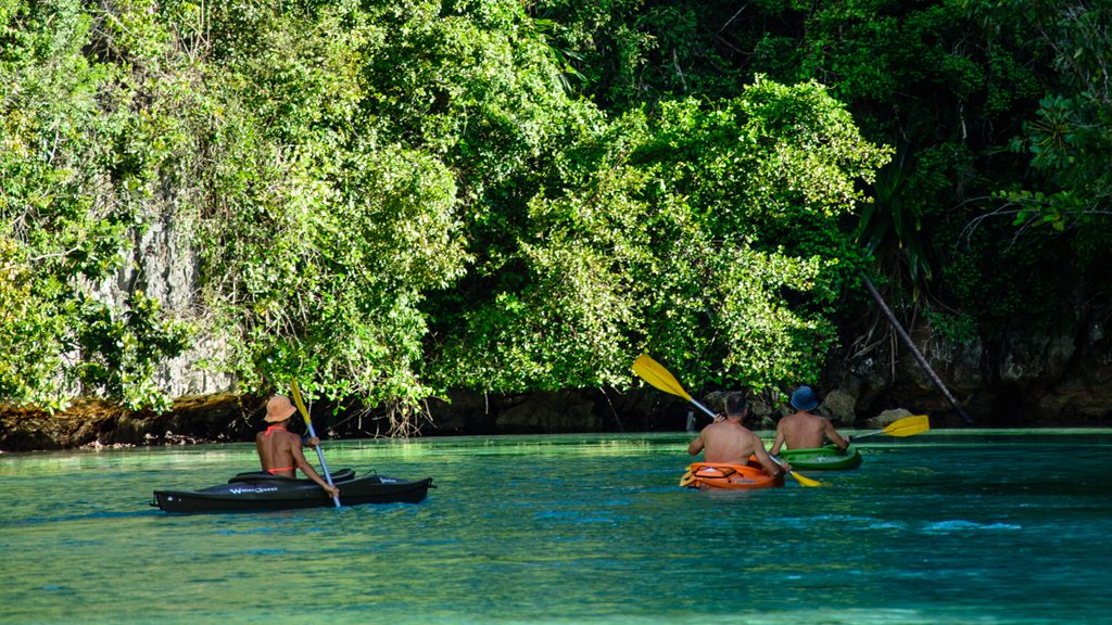 25 ambai liveaboard indonesia activities