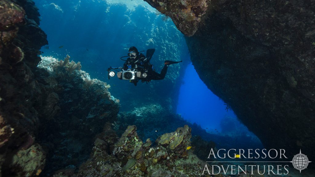 25 red sea aggressor iv liveaboard south egypt divers and corals 4