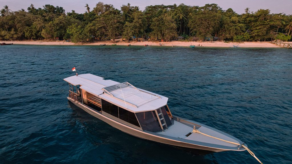 26 coral eye bangka north sulawesi indonesia laba laba3