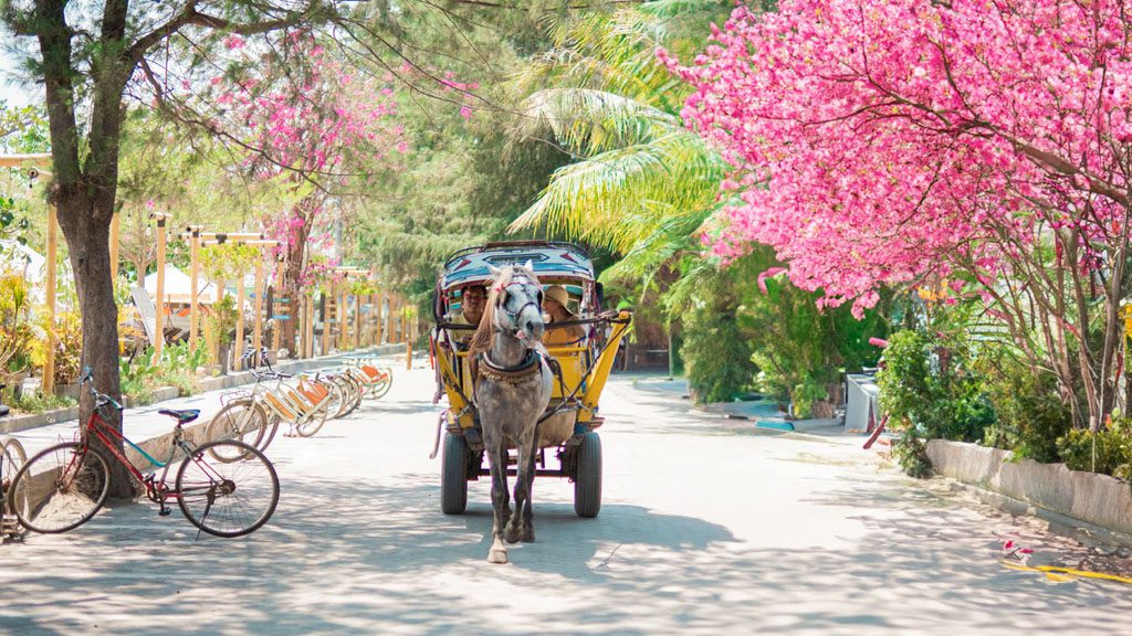 26 villa almarik lombok indonesia cidomo