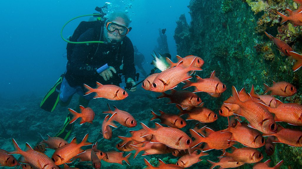 29 red sea aggressor ii liveaboard north egypt divers and corals 2