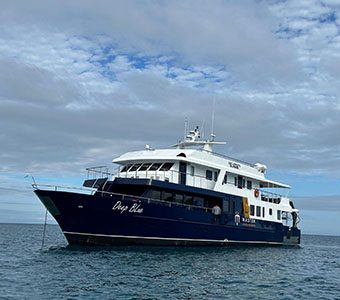 3 galapagos master liveaboard galapagos feature340