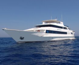 3 royal evolution liveaboard red sea egypt boat view 2 feature340