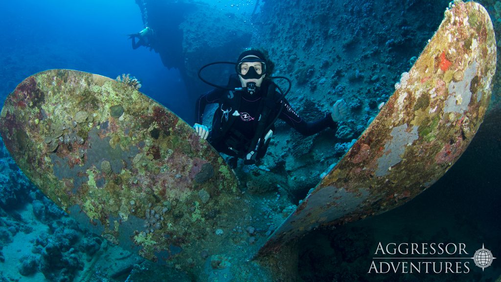 30 red sea aggressor ii liveaboard north egypt divers and wrecks