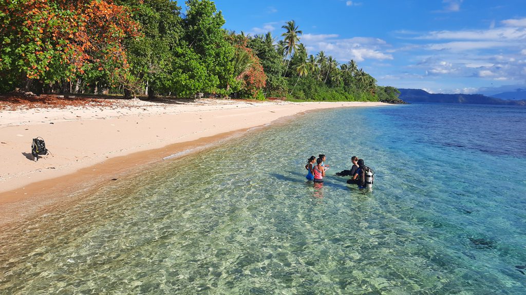 38 coral eye bangka north sulawesi indonesia shore dive 1