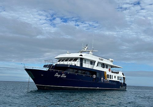 4 galapagos master liveaboard galapagos special500