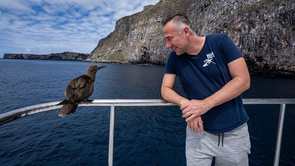 6 galapagos master liveaboard galapagos passenger with boobie