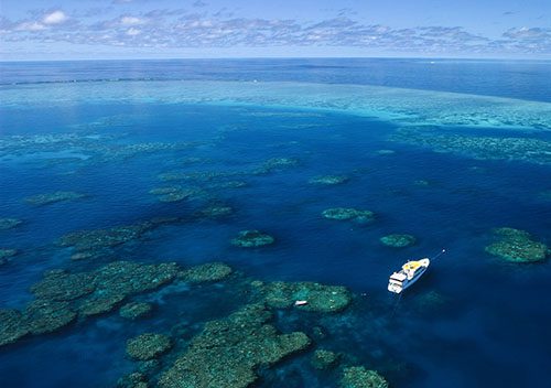 7 spirit of freedom liveaboard great barrier reef australia aerial view sp