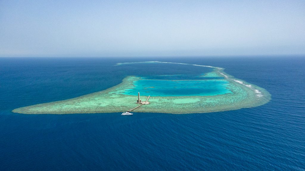 8 royal evolution liveaboard red sea egypt boat in sudan