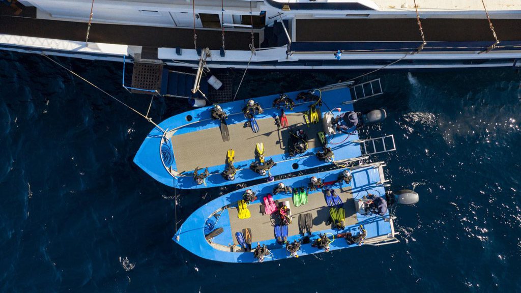 9 seahorse liveaboard indonesia divers in dhoni