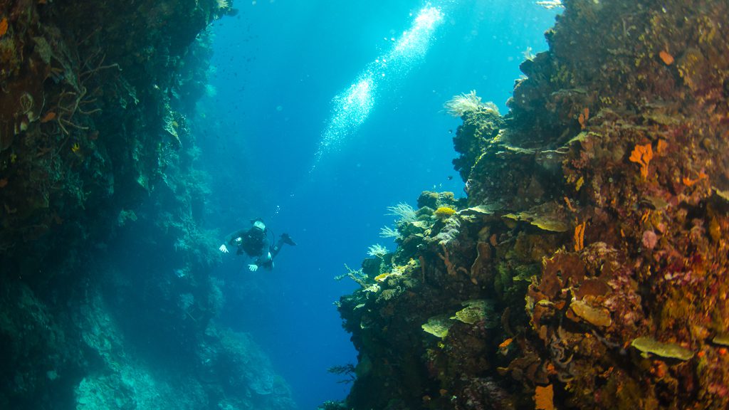 42 bunaken oasis dive resort north sulawesi indonesia underwater sidemount in crevice 1