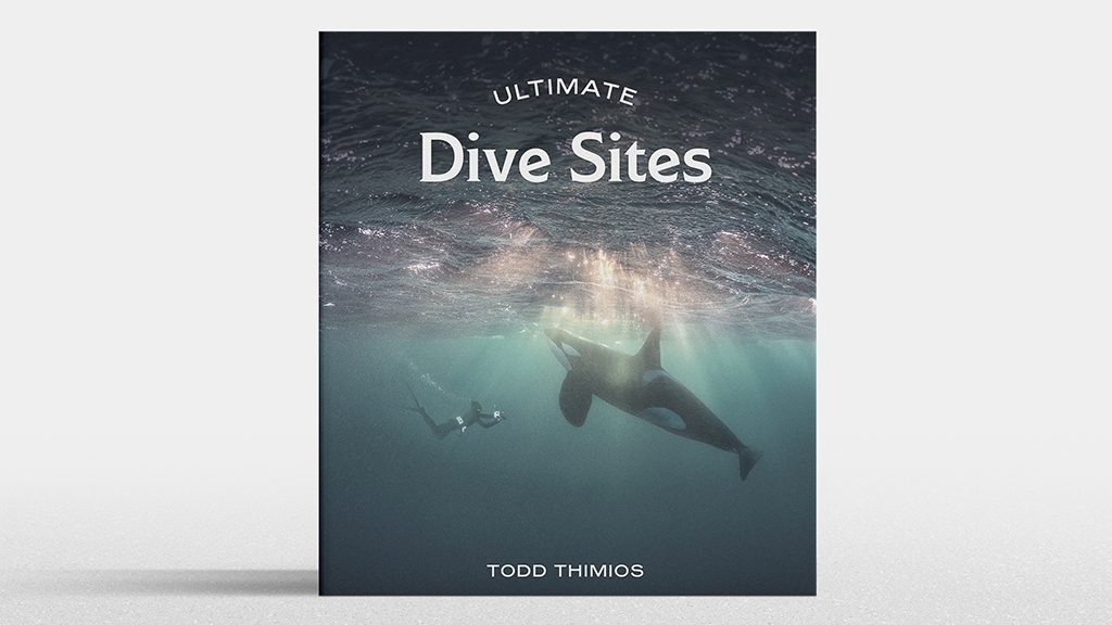 Ultimate dive sites book cover