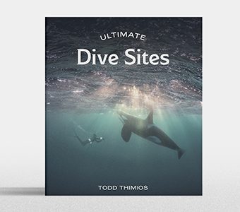 Ultimate dive sites book feature340