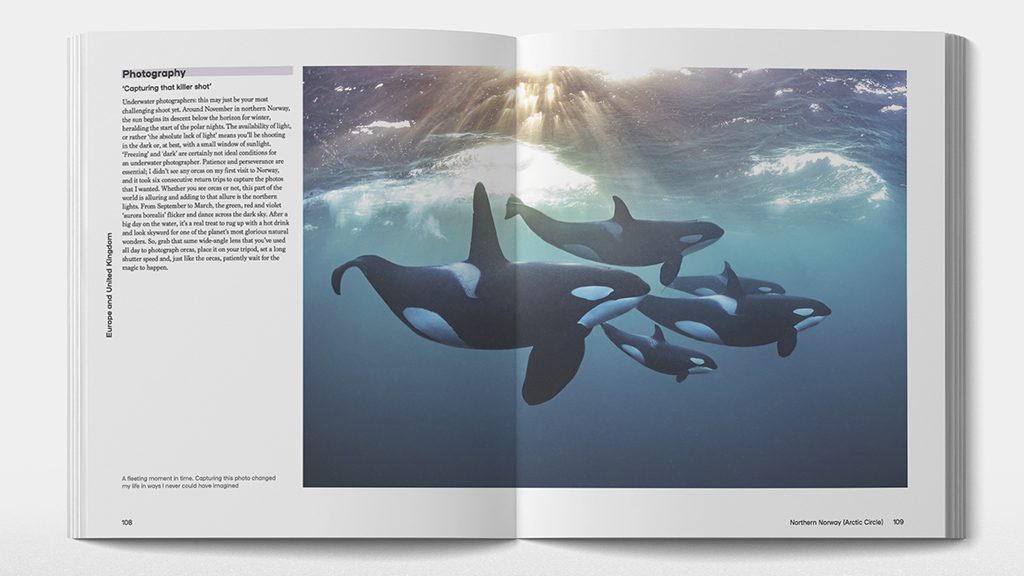 Ultimate dive sites book norway