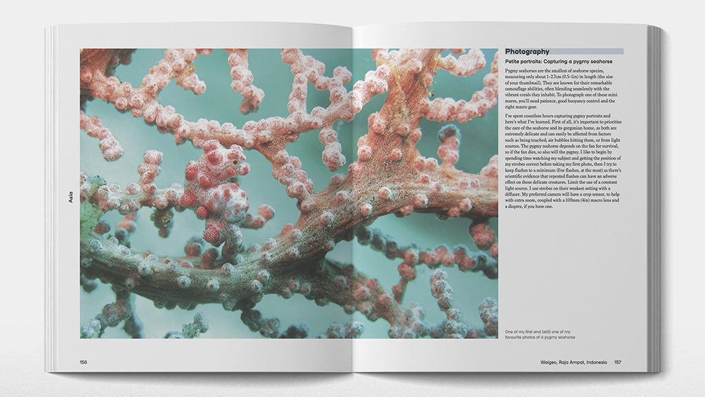 Ultimate dive sites book raja ampat