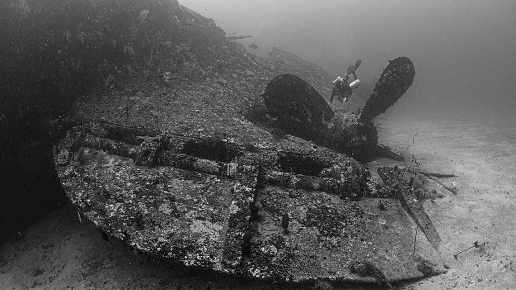 17 dive colombo sri lanka perseus wreck