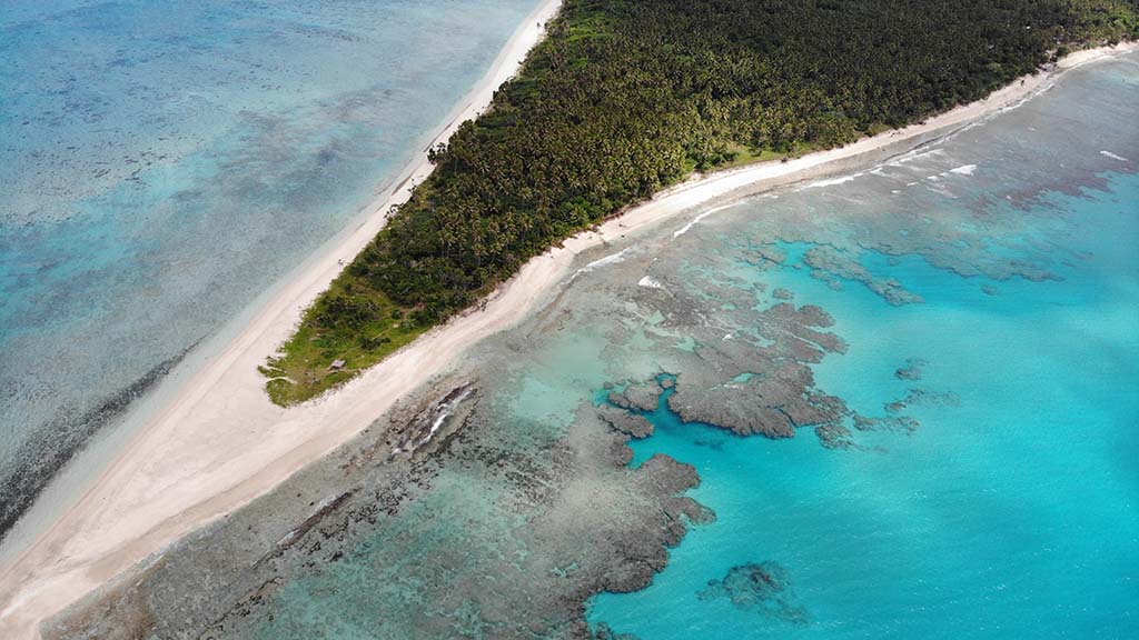 2 awesome whale adventures haapai tonga uoleva