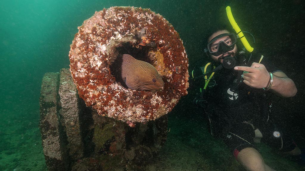 22 dive trincomalee sri lanka navy underwater museum cannon eel