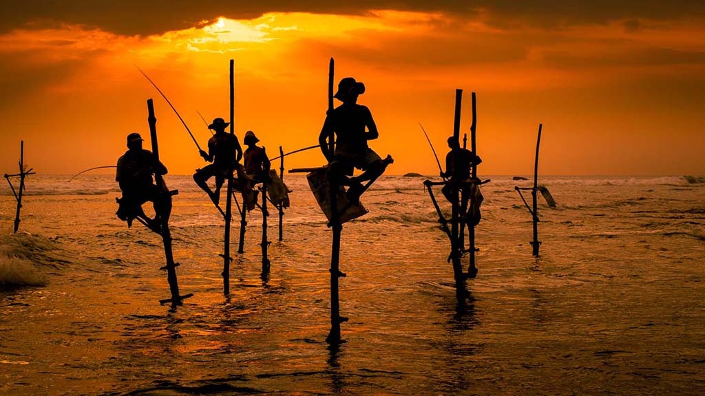 30 dive mirissa sri lanka stilt fishermen