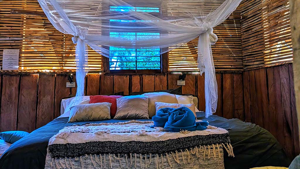 9 awesome whale adventures haapai tonga fanifo lofa fale king bed