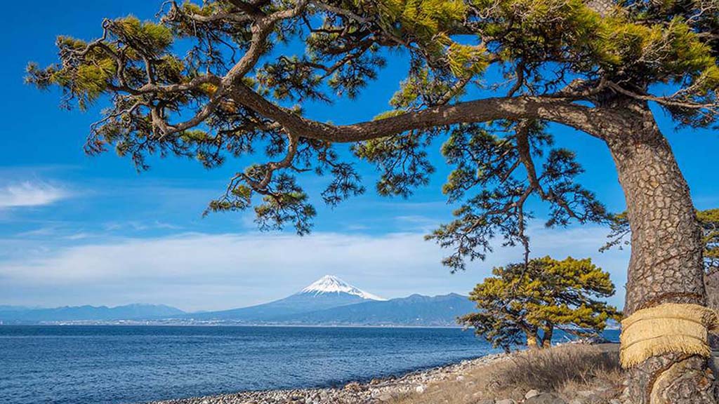 9 dive osezaki japan mt fuji