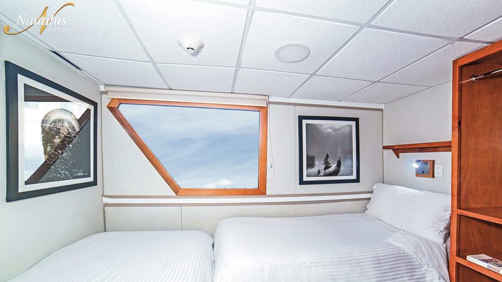 12 nautilus undersea liveaboard socorro baja mexico rosario suite
