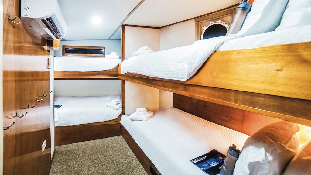 14 nautilus undersea liveaboard socorro baja mexico stateroom triple