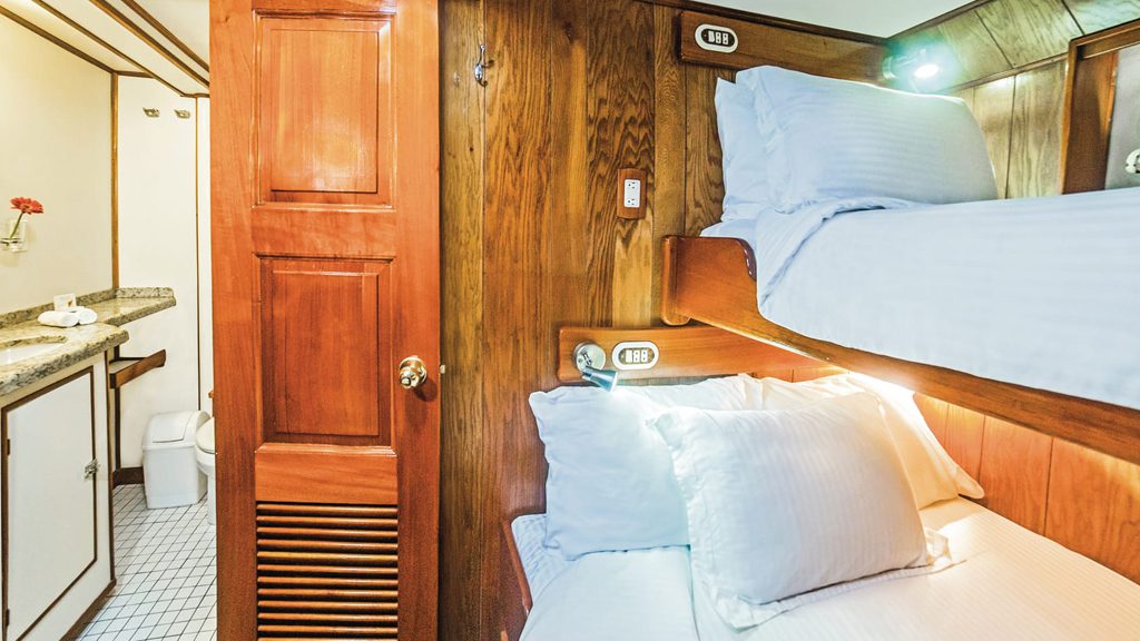 15 nautilus undersea liveaboard socorro baja mexico stateroom lower deck