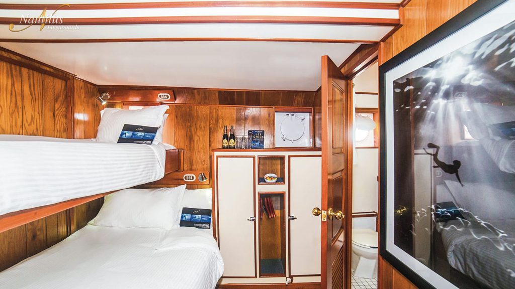 16 nautilus undersea liveaboard socorro baja mexico stateroom lower deck 2